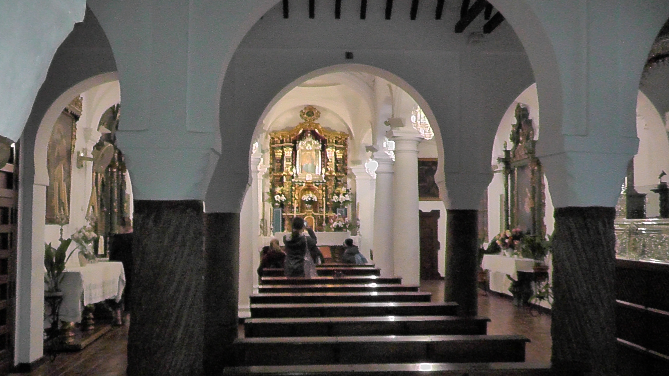 Día de la provincia de Málaga